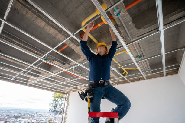 Best Emergency Plumbing Repair  in East Flat Rock, NC